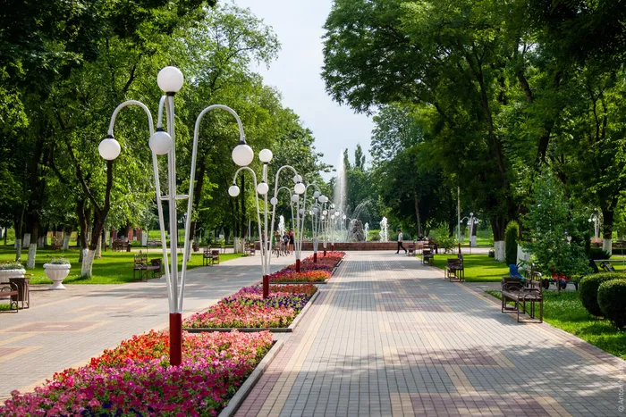5c3493b638fadf3feaba381d_novokubansk_2.jpeg