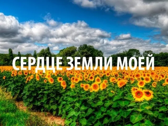 0mMu3wyfKic